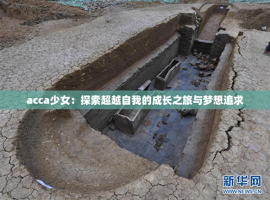 acca少女：探索超越自我的成长之旅与梦想追求