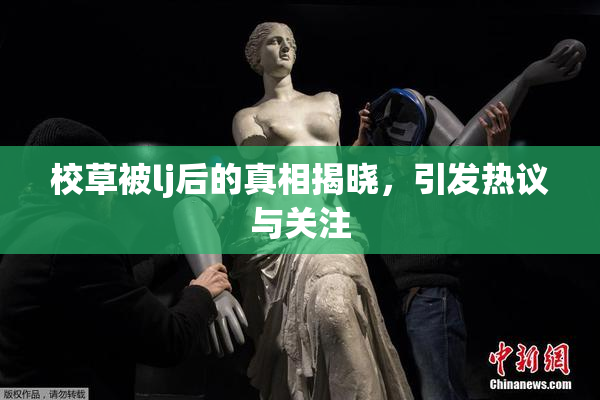 校草被lj后的真相揭晓，引发热议与关注