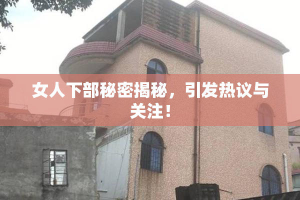 女人下部秘密揭秘，引发热议与关注！