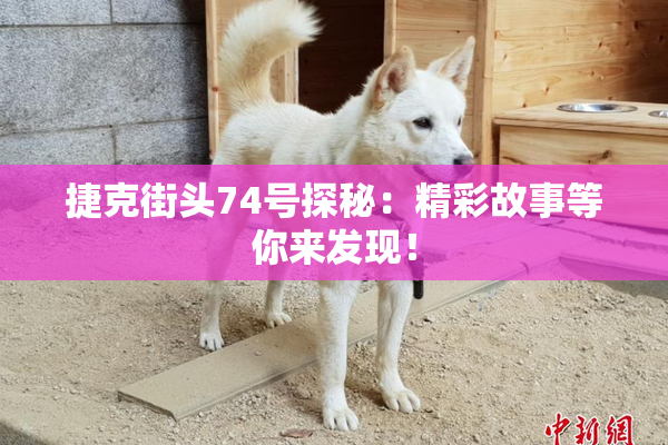 捷克街头74号探秘：精彩故事等你来发现！