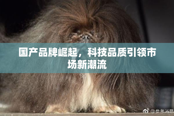 国产品牌崛起，科技品质引领市场新潮流