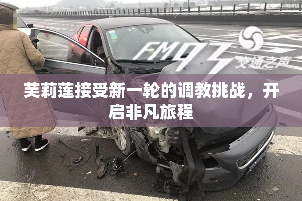 芙莉莲接受新一轮的调教挑战，开启非凡旅程