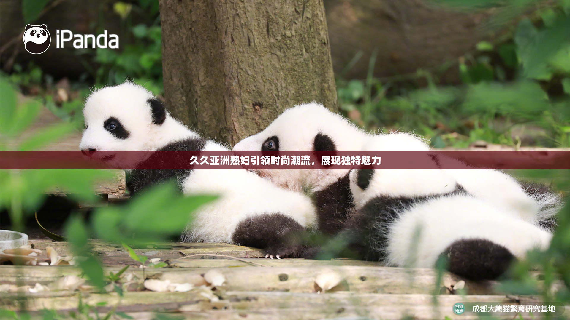 久久亚洲熟妇引领时尚潮流，展现独特魅力