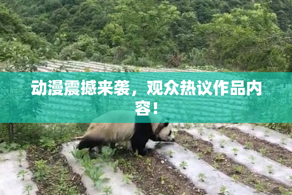动漫震撼来袭，观众热议作品内容！
