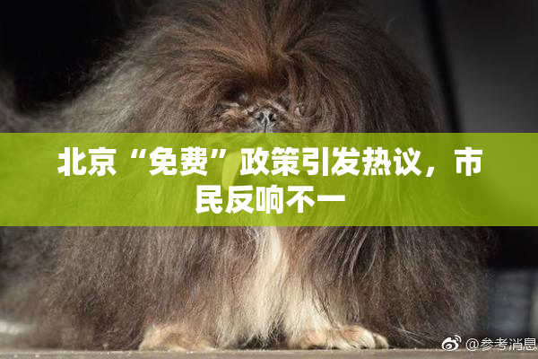 北京“免费”政策引发热议，市民反响不一