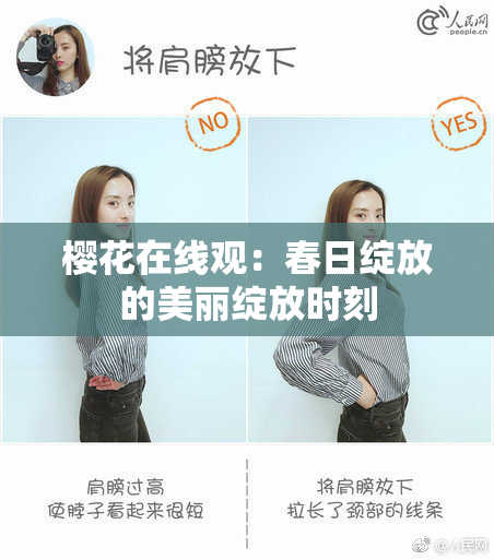 樱花在线观：春日绽放的美丽绽放时刻
