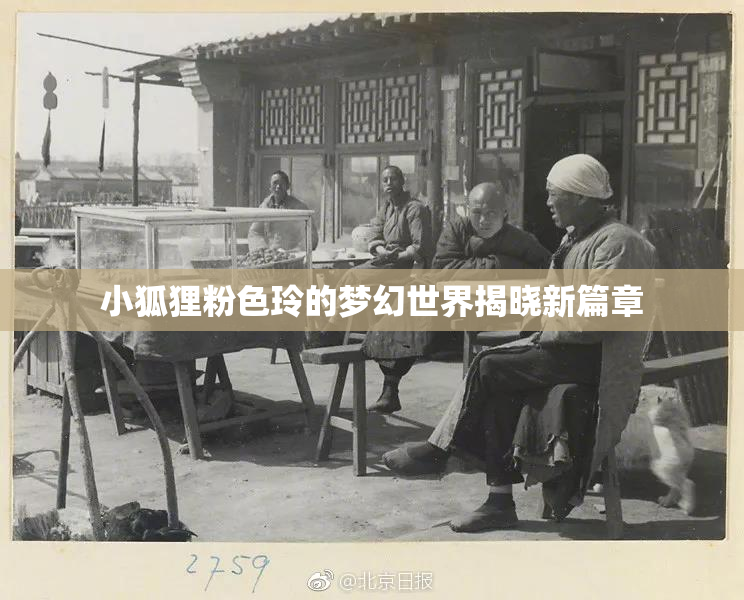 小狐狸粉色玲的梦幻世界揭晓新篇章