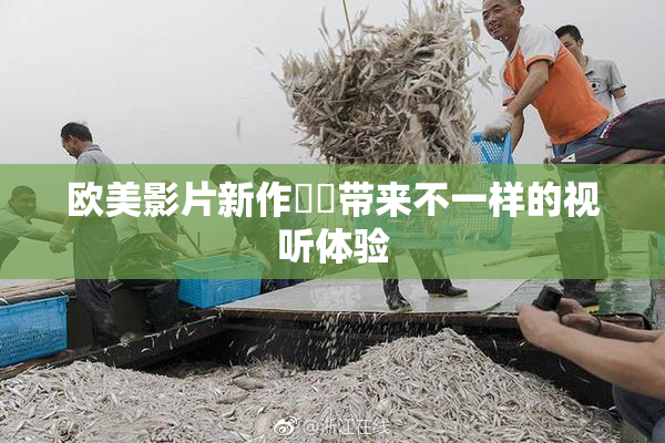 欧美影片新作❌‌带来不一样的视听体验