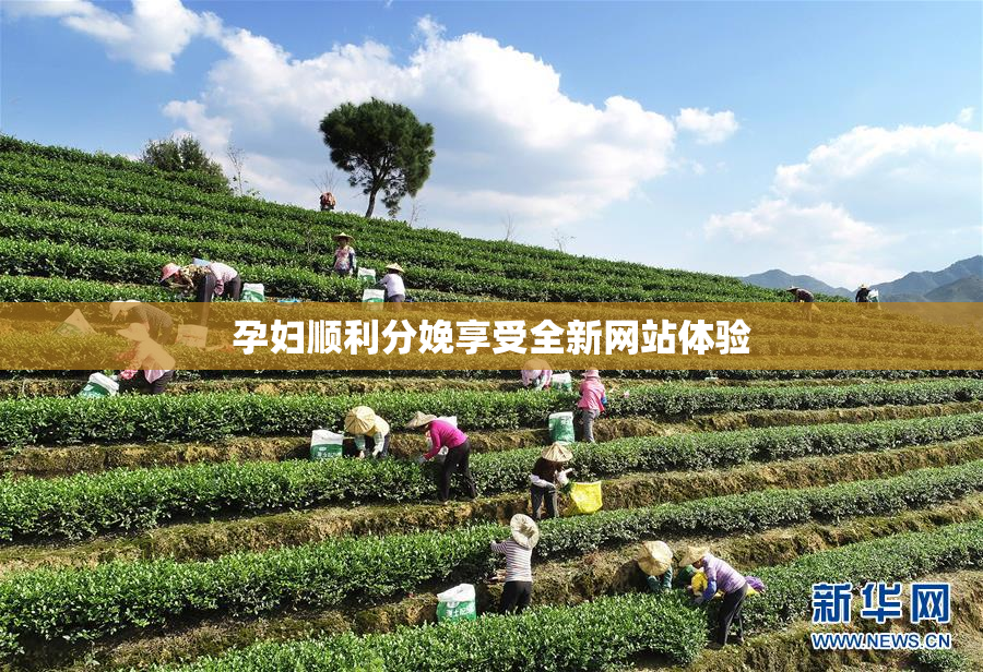孕妇顺利分娩享受全新网站体验