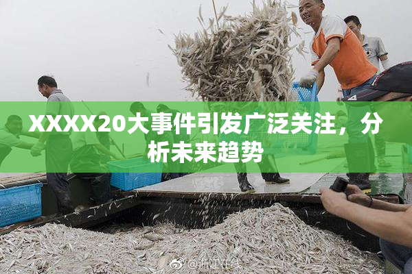XXXX20大事件引发广泛关注，分析未来趋势