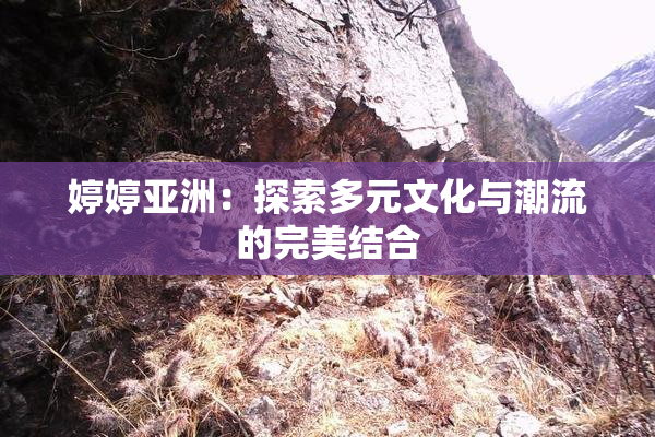婷婷亚洲：探索多元文化与潮流的完美结合