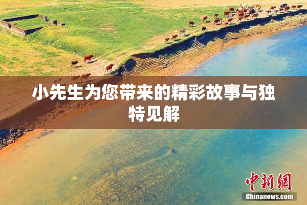 小先生为您带来的精彩故事与独特见解
