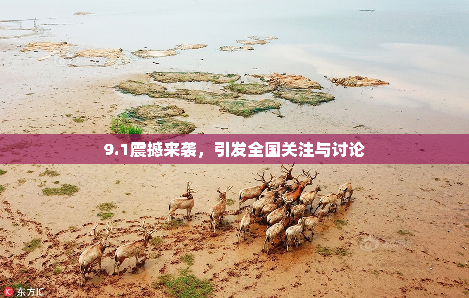 9.1震撼来袭，引发全国关注与讨论