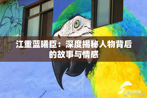 江重蓝曦臣：深度揭秘人物背后的故事与情感