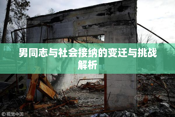 男同志与社会接纳的变迁与挑战解析