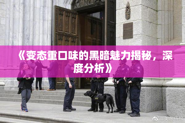 《变态重口味的黑暗魅力揭秘，深度分析》