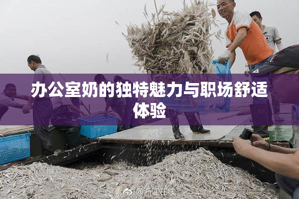 办公室奶的独特魅力与职场舒适体验