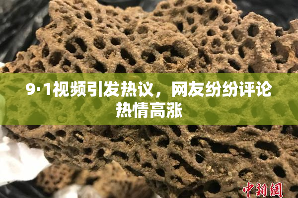9·1视频引发热议，网友纷纷评论热情高涨