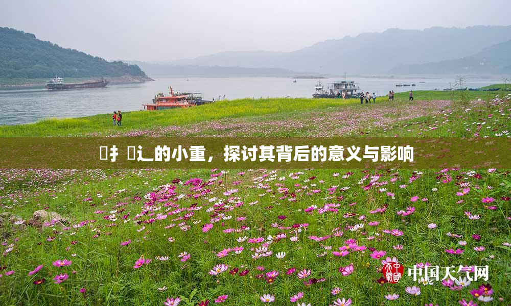 喿扌畐辶的小重，探讨其背后的意义与影响