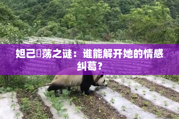 妲己婬荡之谜：谁能解开她的情感纠葛？
