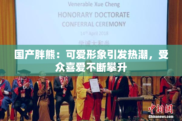 国产胖熊：可爱形象引发热潮，受众喜爱不断攀升