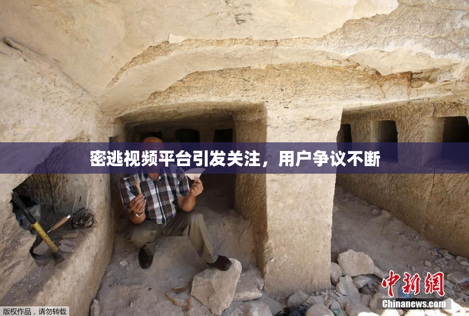 密逃视频平台引发关注，用户争议不断