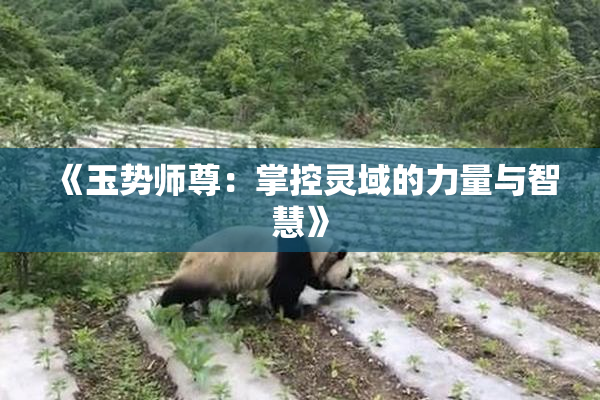 《玉势师尊：掌控灵域的力量与智慧》