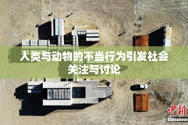 人类与动物的不当行为引发社会关注与讨论