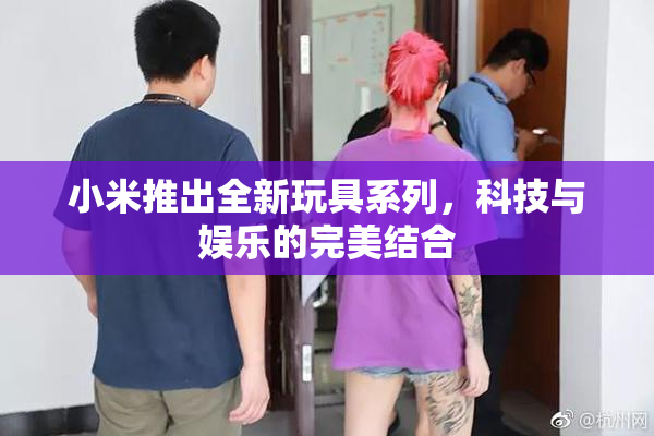 小米推出全新玩具系列，科技与娱乐的完美结合