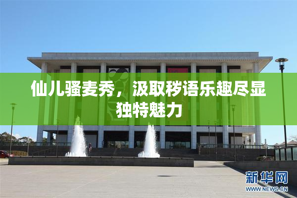 仙儿骚麦秀，汲取秽语乐趣尽显独特魅力