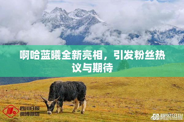啊哈蓝曦全新亮相，引发粉丝热议与期待