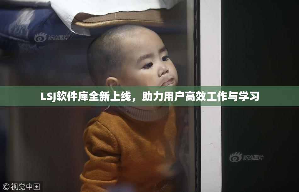 LSJ软件库全新上线，助力用户高效工作与学习
