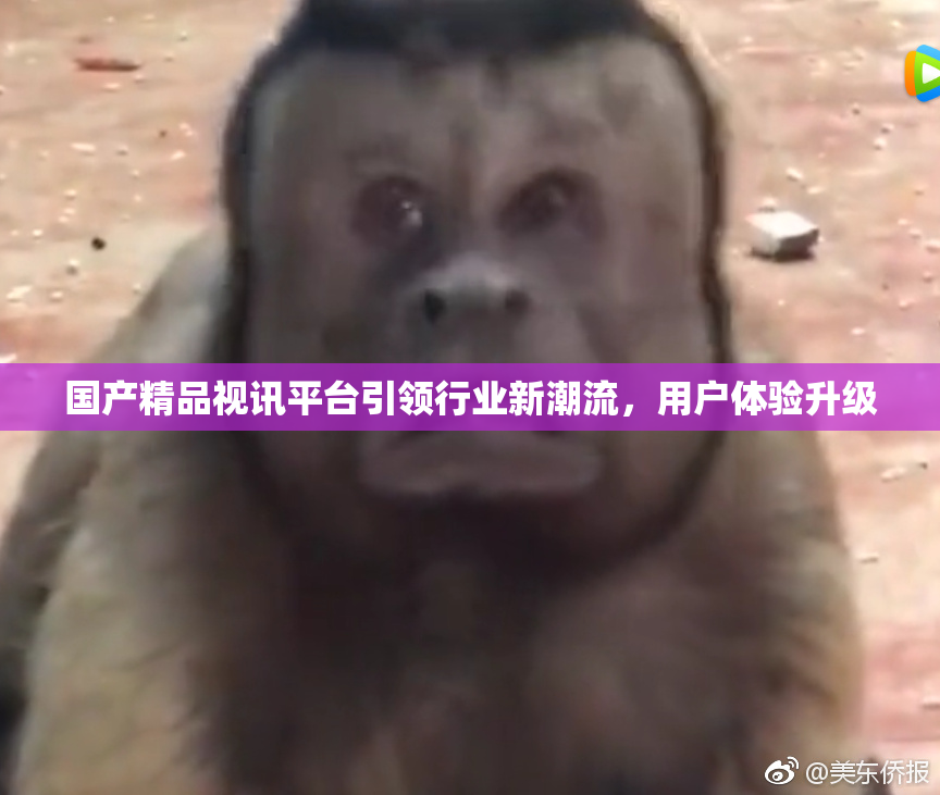 国产精品视讯平台引领行业新潮流，用户体验升级