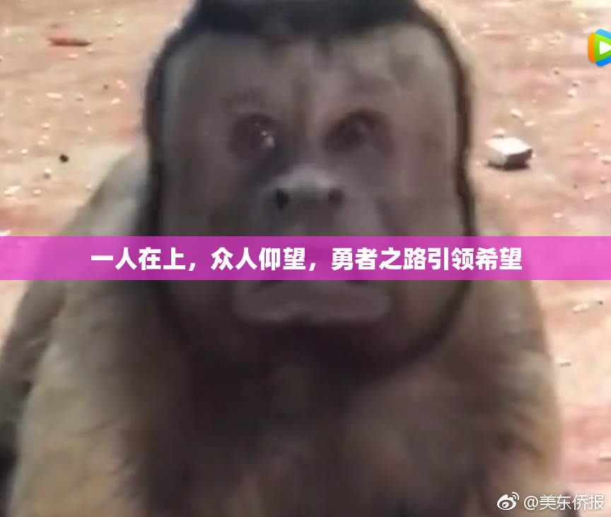 一人在上，众人仰望，勇者之路引领希望