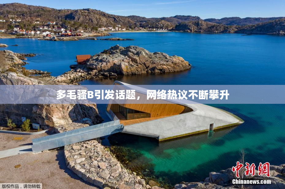 多毛骚B引发话题，网络热议不断攀升