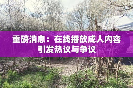 重磅消息：在线播放成人内容引发热议与争议