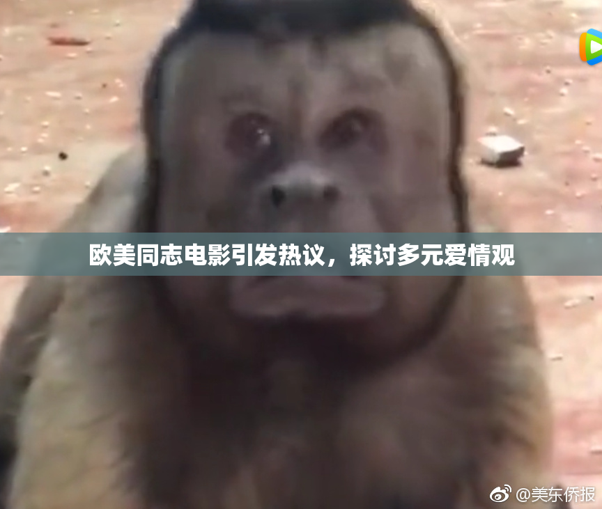 欧美同志电影引发热议，探讨多元爱情观