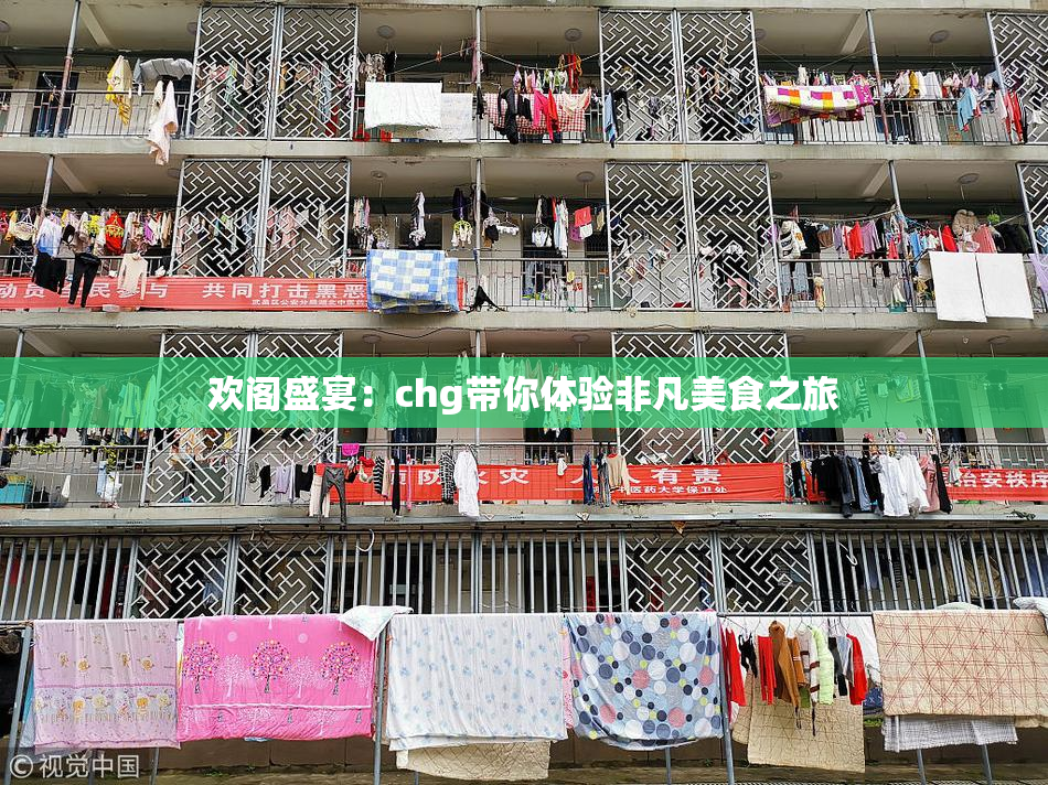 欢阁盛宴：chg带你体验非凡美食之旅