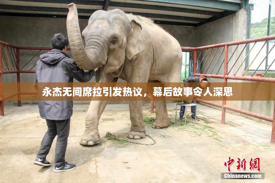 永杰无间席拉引发热议，幕后故事令人深思