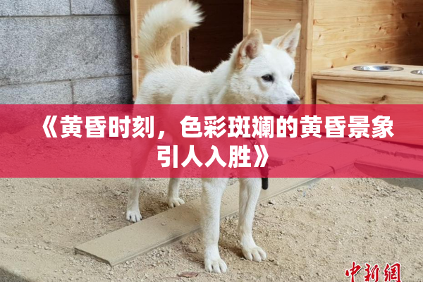 《黄昏时刻，色彩斑斓的黄昏景象引人入胜》