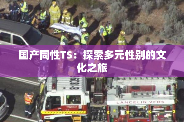 国产同性TS：探索多元性别的文化之旅