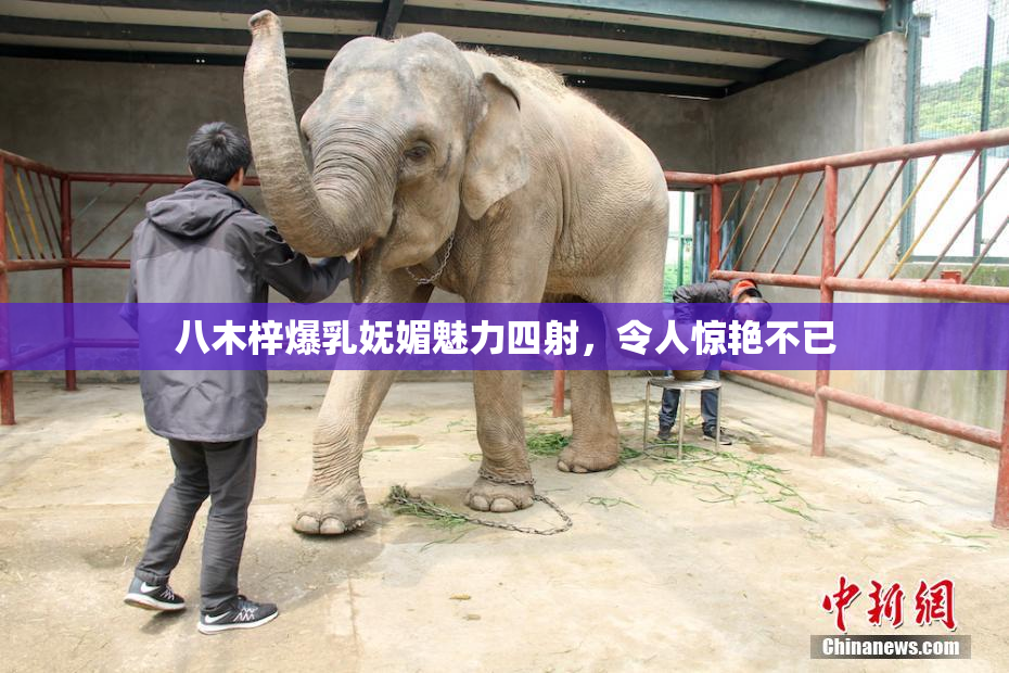 八木梓爆乳妩媚魅力四射，令人惊艳不已