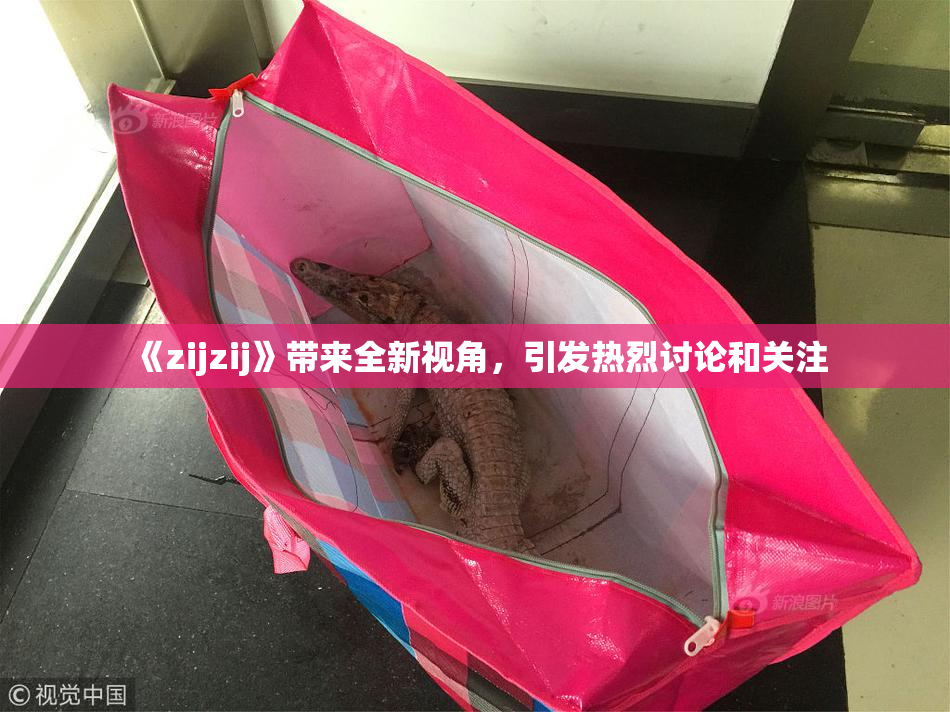 《zijzij》带来全新视角，引发热烈讨论和关注