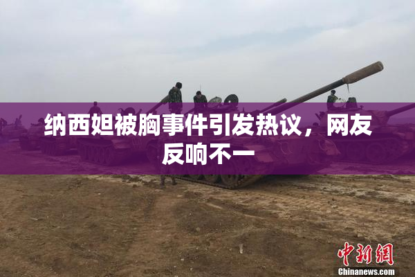 纳西妲被胸事件引发热议，网友反响不一