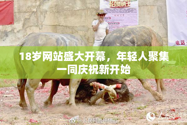 18岁网站盛大开幕，年轻人聚集一同庆祝新开始