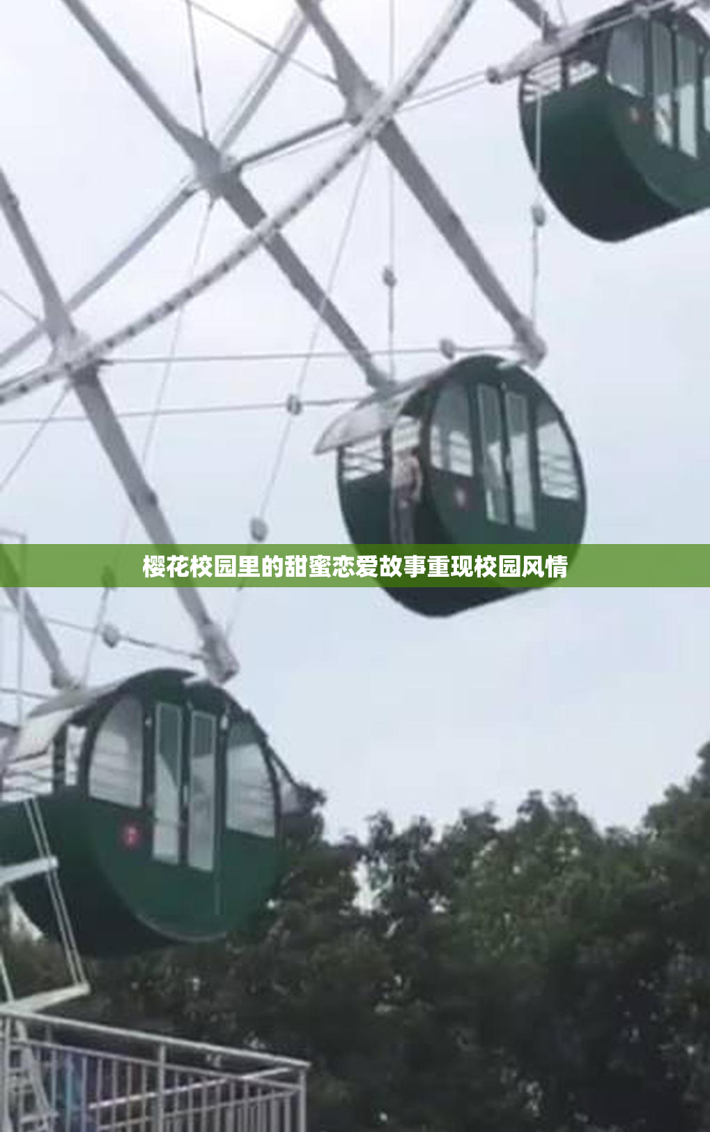 樱花校园里的甜蜜恋爱故事重现校园风情