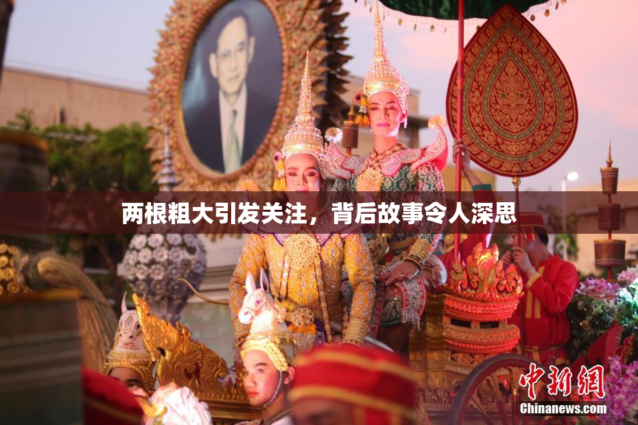 两根粗大引发关注，背后故事令人深思
