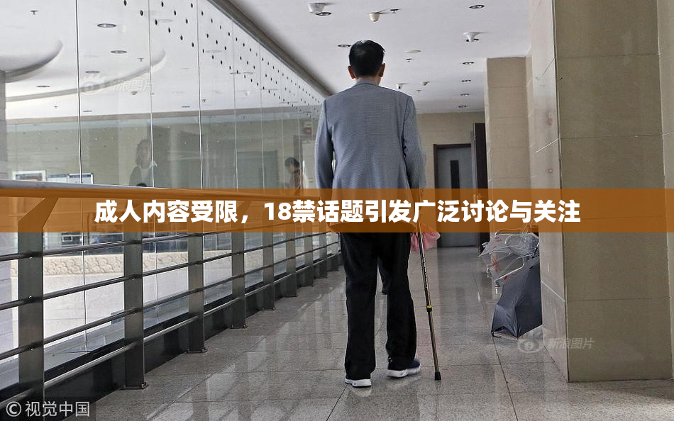 成人内容受限，18禁话题引发广泛讨论与关注