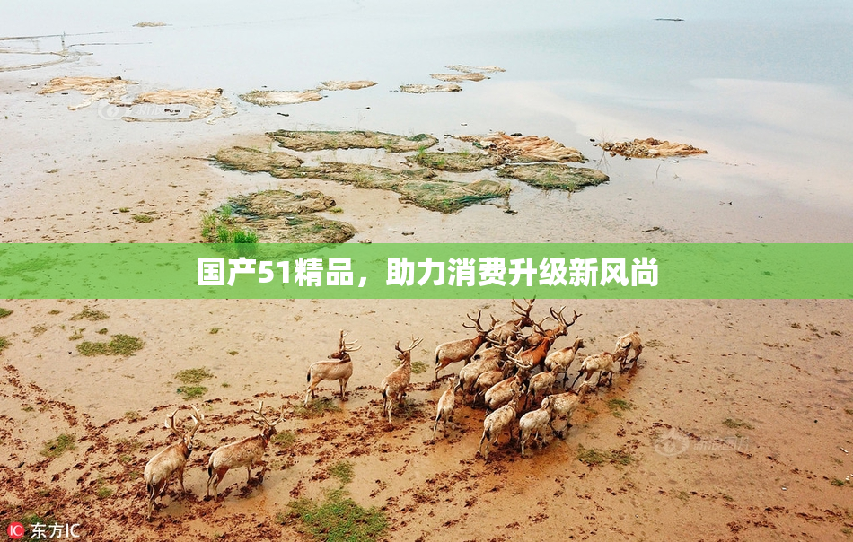 国产51精品，助力消费升级新风尚