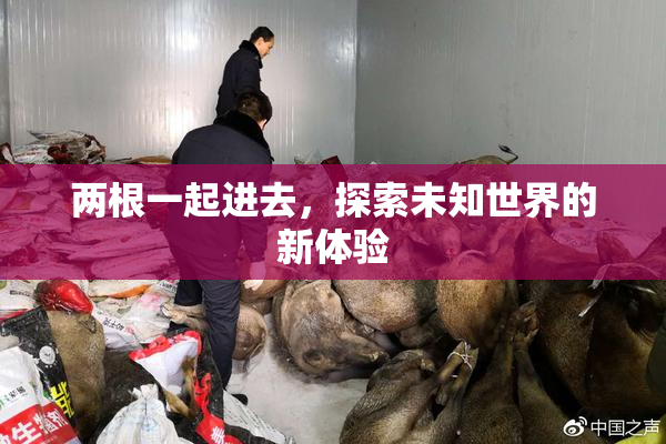 两根一起进去，探索未知世界的新体验
